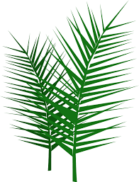 Wildscreen's arkive project was launched in 2003 and grew to become the world's biggest encyclopaedia of life on earth. 12 Palm Branch Clip Art Preview Palm Branch And C Hdclipartall