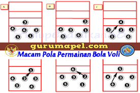 Berikut di bawah ini, contoh soal penjas kelas xii semester ganjil dan jawabannya. Pola Penyerangan Dan Contoh Pertahanan Bola Voli Kumpulan Soal Pelajaran 6