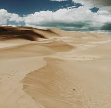 Often the vegetation of sand dunes is discussed without acknowledging the importance that coastal dunes have for animals. Vantage Sand Dunes Wenatchee Outdoors