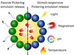 These emulsions are exactly what they sound like, as pictured below. Recent Developments In Pickering Emulsions For Biomedical Applications Sciencedirect