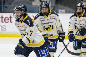 1 is a swedish professional ice hockey club based in jönköping, playing in the swedish hockey league (shl; Dam Good Veteran Danielle Stone Has 5 Point Outburst For Hv71 The Ice Garden