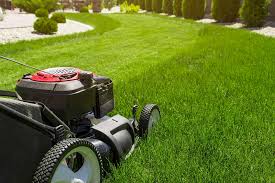 All contribute to the coziness of while this may be enough to pass the chilly nights fortunately there are other ways to get your gardening fix this time of year. How To Fix My Lawn Fast How To Repair Your Bad Lawn