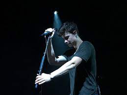 Shawn Mendes Arms Tho Shawn Mendes Tho Shawn Mendes Shawn Mendez Shawn