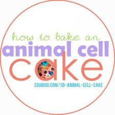 Maybe you would like to learn more about one of these? How To Make An Animal Cell Cake Animal Cell Animal Cell Project 3d Animal Cell