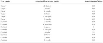 Image result for Kohautia microflora