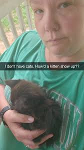 Anyone missing a kitten it's black and super tiny… The place where it  currently as can't keep it so it needs to find a new home… here are some  pics will be