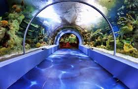 فقيه اكواريوم جدة اهم الانشطة الترفيهية والمعلومات والمواعيد عالم السفر