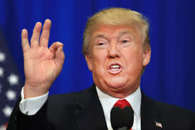 Image result for donald trump