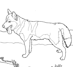 German shepherd husky coloring page. Husky Coloring Pages Print For Free Wonder Day Coloring Pages For Children And Adults