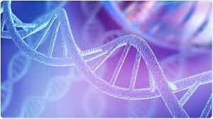 What Is An Overlapping Gene Olg