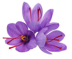 Ruyada Zaferan Safran Gormek Ruya