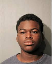 ᐅ Illinois Criminal Records 2009-2025