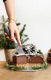 Layer Cake Chocolat Noix De Coco Cru Vegan Sans Gluten Cake Chocolat Gateau Chocolat Vegan Noix De Coco