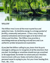 Willow Tree Spiritual Meaning In 2020 Willow Tree Spiritual Meaning Spiritual Journey