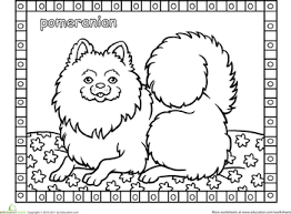 These tiny dogs used to be a small to medium breed that pulled sleds and kept an eye on cattle before they were miniaturized into companion dogs which. Color The Pomeranian Dog Coloring Page Dog Line Drawing Coloring Pages