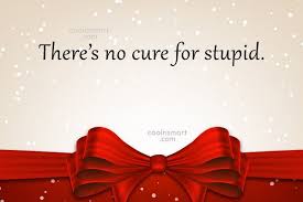 Stupidity is the only universal capital crime; Quote There S No Cure For Stupid Coolnsmart