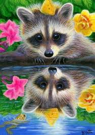 Aceo Original Raccoon Frog Garden Pond Reflection Spring Wildlife Painting Art Miniature Rodney S Reflection Rodn Wildlife Paintings Animal Art Kingfisher Art