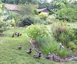 This is supposed to keep the groundhogs from digging under. How Can I Stop Woodchucks From Eating My Flowers And Plants Better Homes Gardens