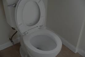 Maybe you would like to learn more about one of these? Leaking Toilet Flapper Learn Why It Leaks How To Fix It