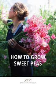 Pin On Flower Garden For Beginners Plans