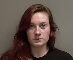 Lake Christine Fire suspects due in court Tuesday; DA says hearing is  procedural