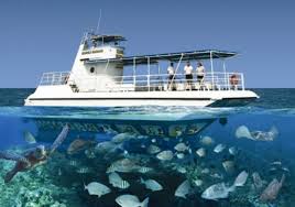 Nemo, swimming out to the sea! Finding Nemo Review Of Seaworld Observatory George Town Cayman Islands Tripadvisor