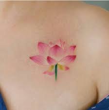 Waterlily Lily Tattoo Pink Girly Tattoos For Women Flowers Flower Tattoo Designs Tattoos For Women