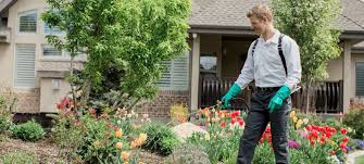 Safety was a priority including covid19 requirements. Aptive Environmental 26 Photos 92 Reviews Pest Control 5190 S Valley View Blvd Las Vegas Nv Phone Number