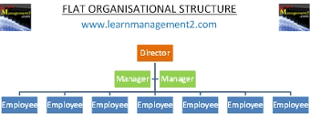Flat Organizational Structure Diagram Wiring Diagrams