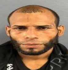 Buscan a Pitirre por escalamiento en Arroyo