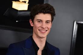 Terdapat 14 lagu di dalam album ini, yang dua di antaranya telah dirilis terlebih dahulu sebagai single yakni 'wonder' dan 'monster' yang berkolaborasi dengan justin bieber. 5 Lagu Shawn Mendes Yang Menunjukkan Perasaan Cowok Saat Jatuh Cinta