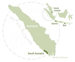 An intoduction to train travel around sumatra & java in indonesia, with train service between jakarta, bandung, surabaya, train+ferry service to bali plus ferries malaysia to indonesia. Mentawai Islands Mentawai Surf Charter Boats Surf Camps In Sumatra