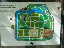 Welche botanischen gärten stehen noch auf unserer liste? Ubersichtsplan Bild Von Botanische Garten Der Universitat Bonn Tripadvisor