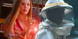 What wanda did to the beekeeper. Wandavision Did Scarlet Witch Kill The Beekeeper Screen Rant