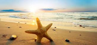 Résultat de recherche d'images pour "la plage"