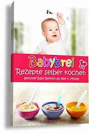 Hier ist ein rezept für einen leckeren babybrei ohne gläschen. Babybrei Rezepte Selber Kochen Gesunde Baby Beikost Ab Dem 4 Monat Ein Babybrei Kochbuch Fur Gesunde Baby Beikost By Heilkreis Just