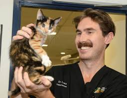 You may remember we recently talked to you about the unprecedented number  of puppies that have been arriving at our shelters. Sadly, the number of  puppies we are seeing is not getting