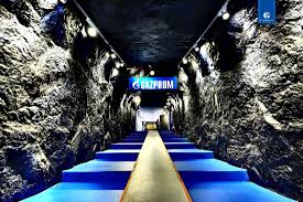 It opened on 13 august 2001, as the new home ground for bundesliga club fc schalke 04. Schalke 04 Stadium Tunnel