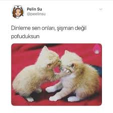 2 1mn Takipci 25 Takip Edilen 12 7b Gonderi Pelin Su In Pelinsu Instagram Fotograflarini Ve Videolarini Gor Komik Resimler Komik Komik Seyler