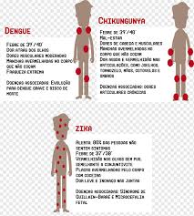 Banyak hadiah menarik buat kalian lho! Demam Kuning Virus Dengue Zika Infeksi Virus Chikungunya Nyamuk Teks Serangga Gejala Png Pngwing