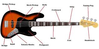 As a beginner guitar player, you might be intimidated by the look of these diagrams and the guitar chords chart. Bass Guitar Parts 101 The Parts That Make The Music Stringvibe