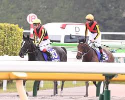 Nhkマイルカップ 競馬 nhkマイルカップ 競馬 nhkマイルカップ 競馬 nhkマイルカップ 競馬 nhkマイルカップ 競馬 nhkマイルカップ 競馬 nhkマイルカップ 競馬. Nbrrchndeoz88m