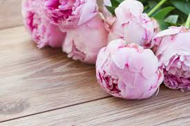 It's peony season, and peonies only grow once a year in the spring and so there is a general and they say one way to make a peony bloom is to put it in tepid water. Very Early Blooming Peonies For Your Spring Garden