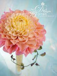 Gumpaste Dahlia Sugar Flowers Tutorial Sugar Flowers Gum Paste