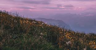 Terms in this set (3) actual grace. 16 Bible Verses About Flowers Beautiful And Meaningful Scripture