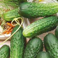 Image result for Cucumis humifructus