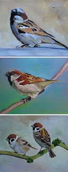 Three Sparrow Paintings Two House Sparrows And A Pair Of Tree Sparrows By Emma Cownie Birds Painting Sparrow Drawing Bird Art