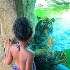 Virginia Zoo In Norfolk Va