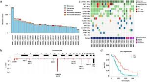 Malignant pleural mesothelioma is a refractory tumor with increasing incidence. Malignant Cells From Pleural Fluids In Malignant Mesothelioma Patients Reveal Novel Mutations Sciencedirect