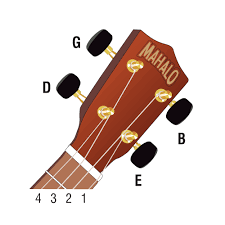 Explore a wide range of the best uke tuning on aliexpress to find one that suits you! Tuning Your Ukulele Mahalo Ukuleles